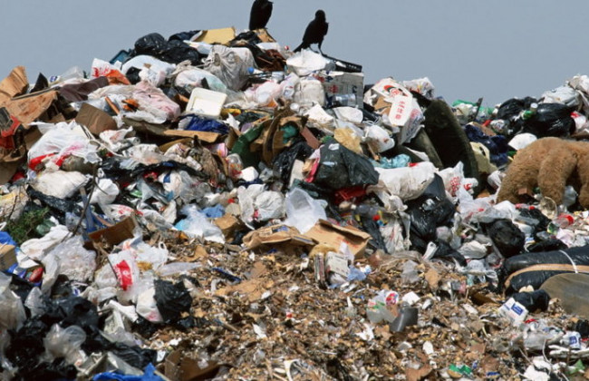 Мусор наступает: украинцев поразили масштабами проблемы