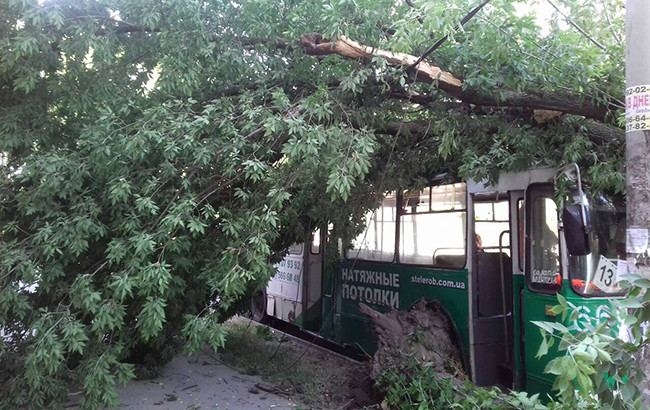 В Запорожье на троллейбус рухнуло дерево, есть пострадавшие