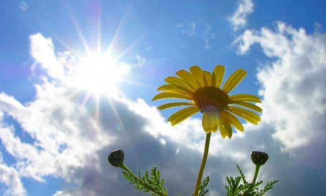 Украинцам рассказали, какой будет погода в июне