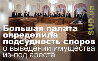 Большая палата определила подсудность споров о выведении имущества из-под ареста