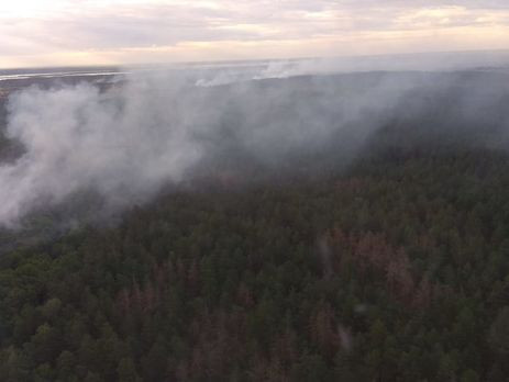 Пожар в Чернобыле: стало известно о радиационном фоне в Киеве