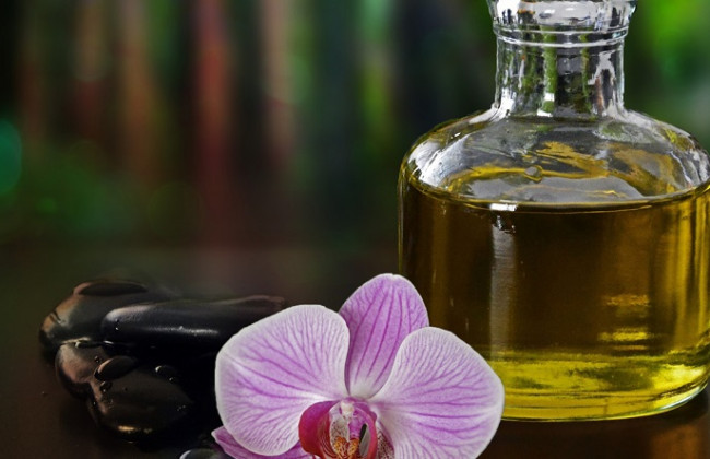 Какие продукты продлевают жизнь