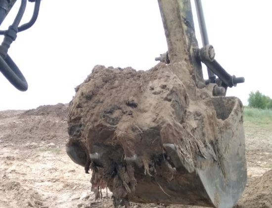 Под Киевом организовали могильник: задержаны владельцы агрохолдинга