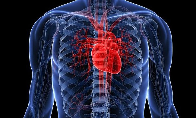 Назвали главного врага сердца и сосудов