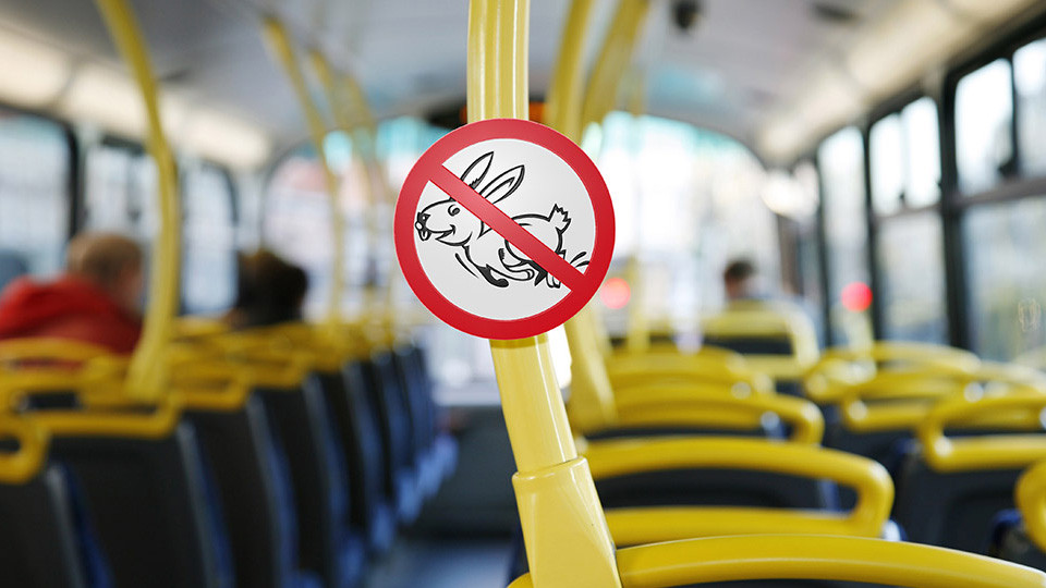 «Киевпастранс» всерьез займется «зайцами» в общественном транспорте