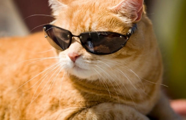 Украину накроет 33-градусная жара: где и когда