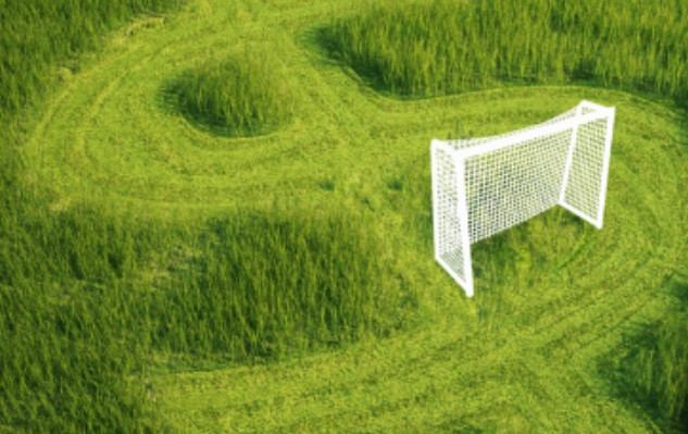 Скандальная «футбольная трава» от ФФУ: НАБУ начало расследование