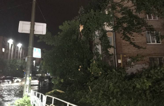 Ураган в Киеве: поваленные деревья и поврежденные автомобили