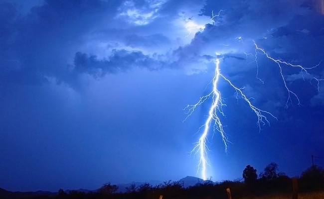 В Винницкой области молния убила пастуха