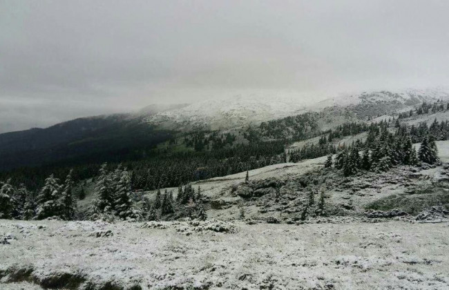 Лету больше не наливать: соцсети заполнили снимки заснеженных Карпат