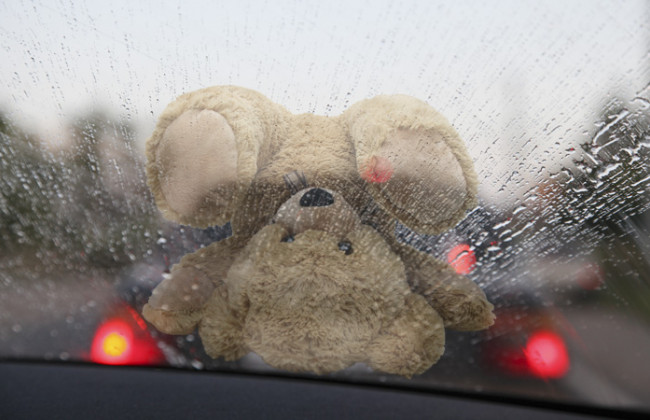 Четыре с половиной года тюрьмы: в Днепре суд вынес приговор по ДТП, в котором пострадали две школьницы