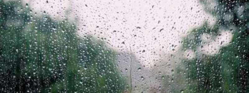 Дождь и гроза: киевлянам рассказали о погоде на сегодня