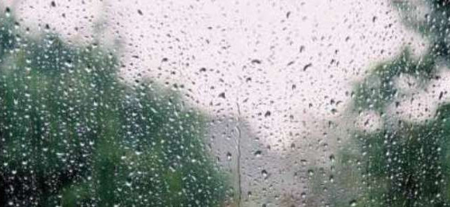 Дождь и гроза: киевлянам рассказали о погоде на сегодня