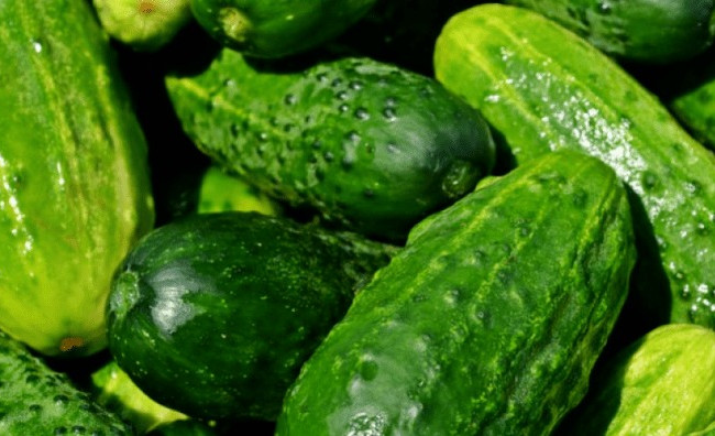 Эти болезни вылечат свежие огурцы