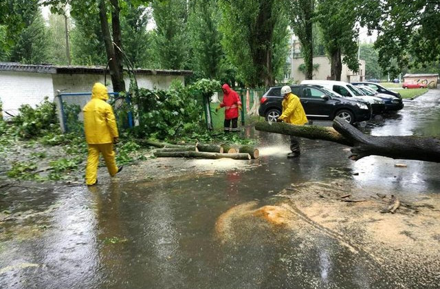 Непогода в Киеве: ветер повалил деревья, а от молнии загорелся жилой дом
