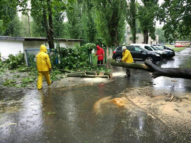 Непогода в Киеве: ветер повалил деревья, а от молнии загорелся жилой дом