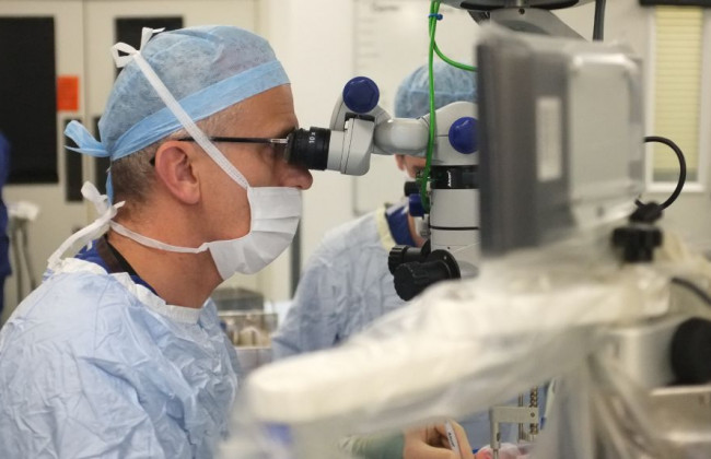 В Кременчуге врачи достали из глаза женщины 12-сантиметрового червя