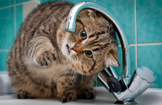 Весь Киев с августа останется без горячей воды: все подробности