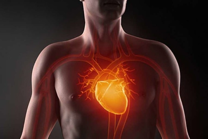Здоровое сердце надолго: названы лучшие для употребления продукты