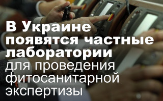 В Украине появятся частные лаборатории для проведения фитосанитарной экспертизы