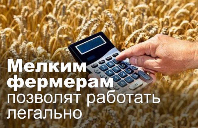 Мелким фермерам позволят работать легально