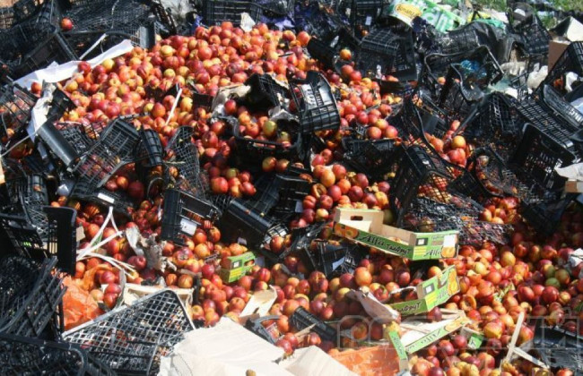 Россельхознадзор отчитался, сколько уничтожил санкционной еды за три года