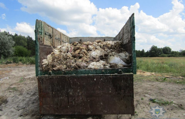 Грузовик с сотнями «мертвых тел» задержали в Киеве