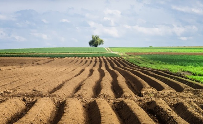 Лицей заплатит государству круглую сумму за нецелевое использование земли