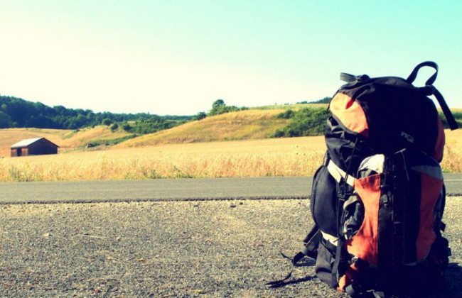 Привязали к дереву и изнасиловали: Киевскую область всколыхнуло жуткое преступление