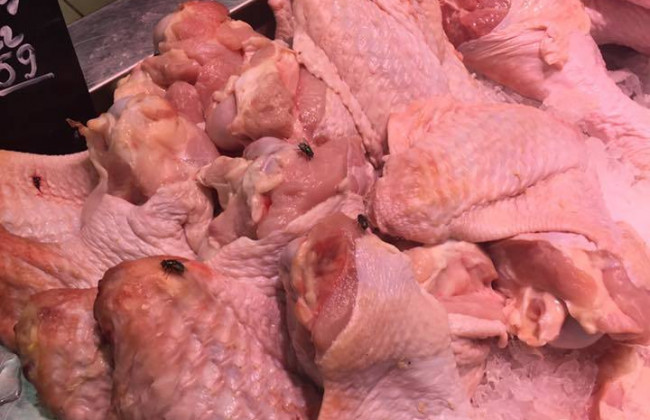 Киевлян поразили мухи в продуктах в одном из супермаркетов