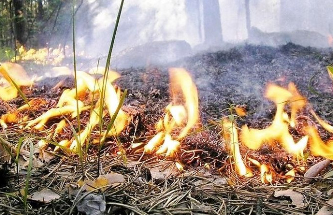 В Украине объявили чрезвычайный уровень пожароопасности