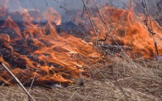 Синоптики предупреждают о высокой пожароопасности