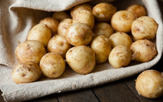 Стоимость молодого картофеля рекордно снизилась