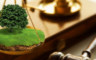 Хозсуд Винницкой области вынес решение в резонансном деле: есть подробности