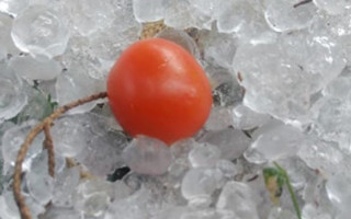 В Днепре выпал град размером с куриное яйцо: опубликовали видео