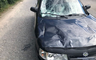 Жуткое ДТП в Винницкой области: автомобиль на скорости «снес» двух детей