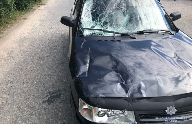 Жуткое ДТП в Винницкой области: автомобиль на скорости «снес» двух детей