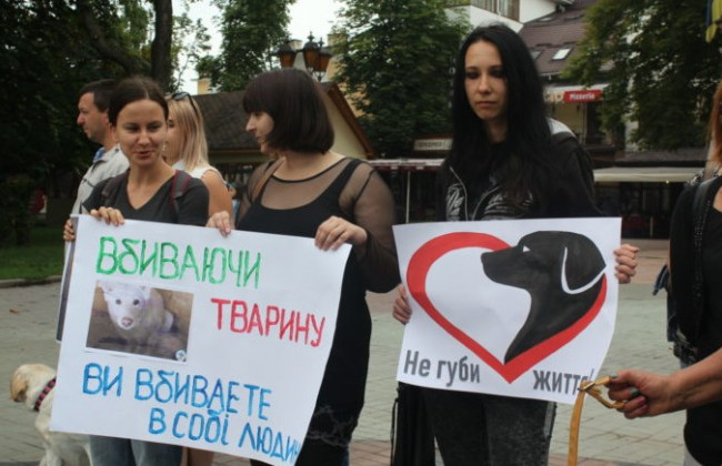 В Виннице волонтеры нашли собаку с содранной кожей