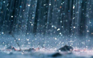 Тепло и дожди: украинцам рассказали о погоде