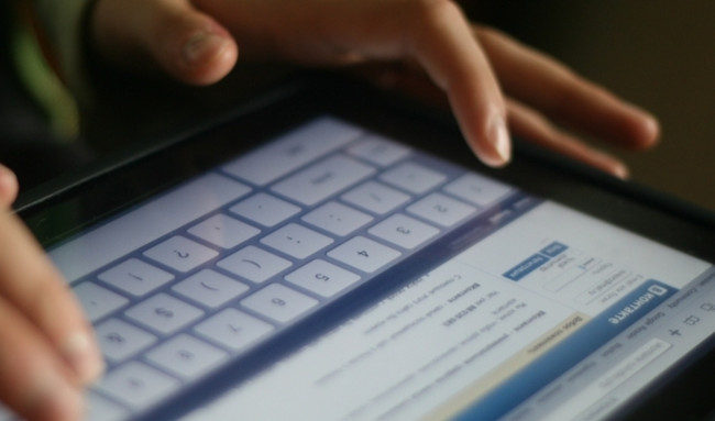 Волынянину дали 6 лет за посты в соцсетях