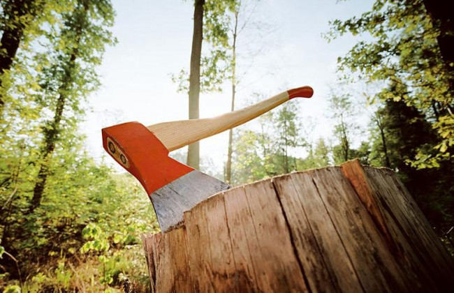 Президент предложил изменения к ветированному закону о контрабанде леса