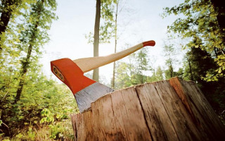 Президент предложил изменения к ветированному закону о контрабанде леса