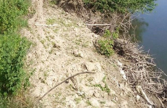 В Украине уходит под воду остров на Дунае