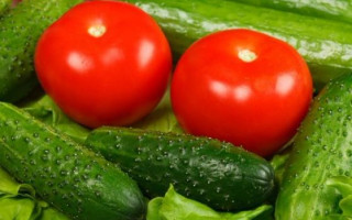 Почему нельзя смешивать огурцы и помидоры: врачи объяснили