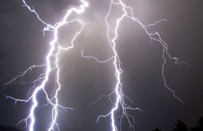 В Кременчуге дерево придавило семью на детской площадке