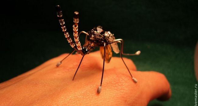 5 тяжелых болезней, которые переносят комары в Украине