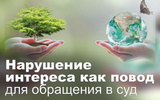Нарушение интереса как повод для обращения в суд