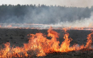 Боевики на Донбассе сжигают поля с урожаем