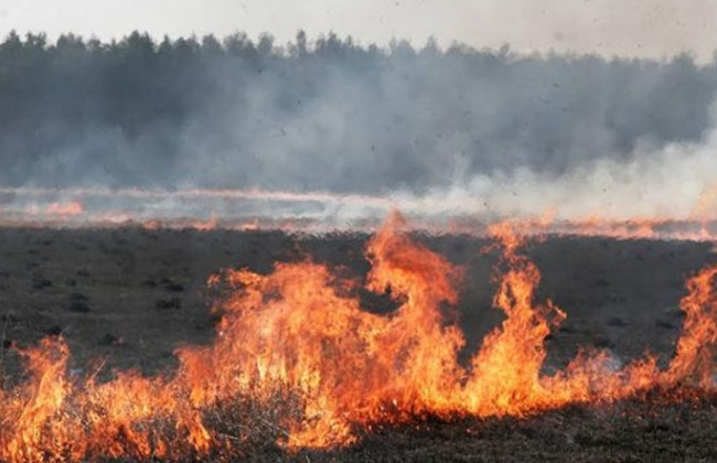 Боевики на Донбассе сжигают поля с урожаем
