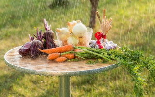 Эксперты назвали регионы с самым дешевым и самым дорогим «борщевым набором»